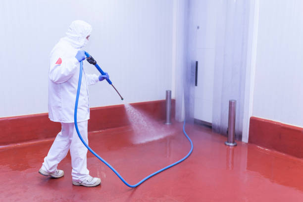 Best Soft Washing  in Stanfield, NC